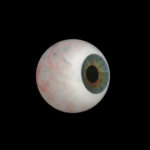 白内障手術✕映像