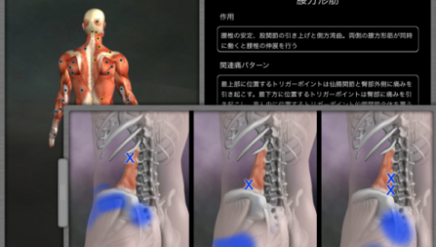 腰痛に3D動画を！